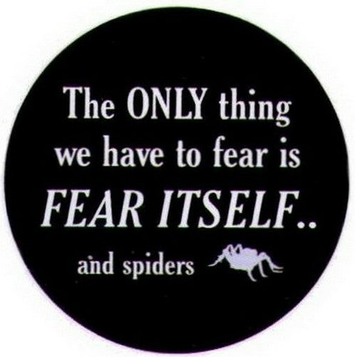 Only Thing To Fear Itself Spiders Button SB3969