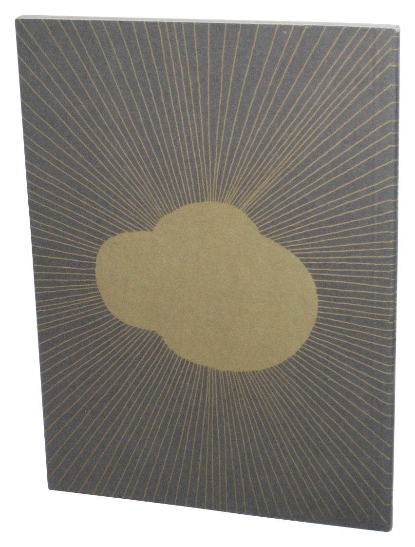 Fallen Angel (2006) Paperback Book