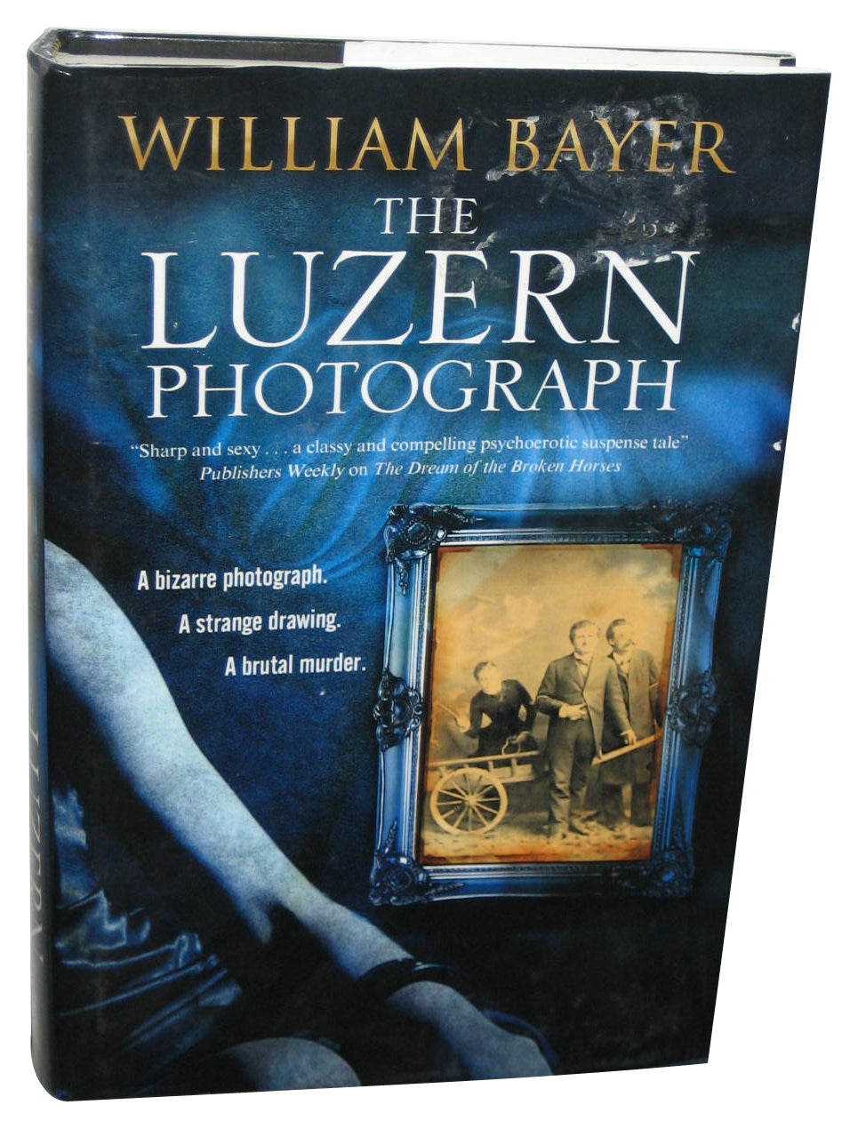 The Luzern Photograph (2016) Hardcover Book - (William Bayer)