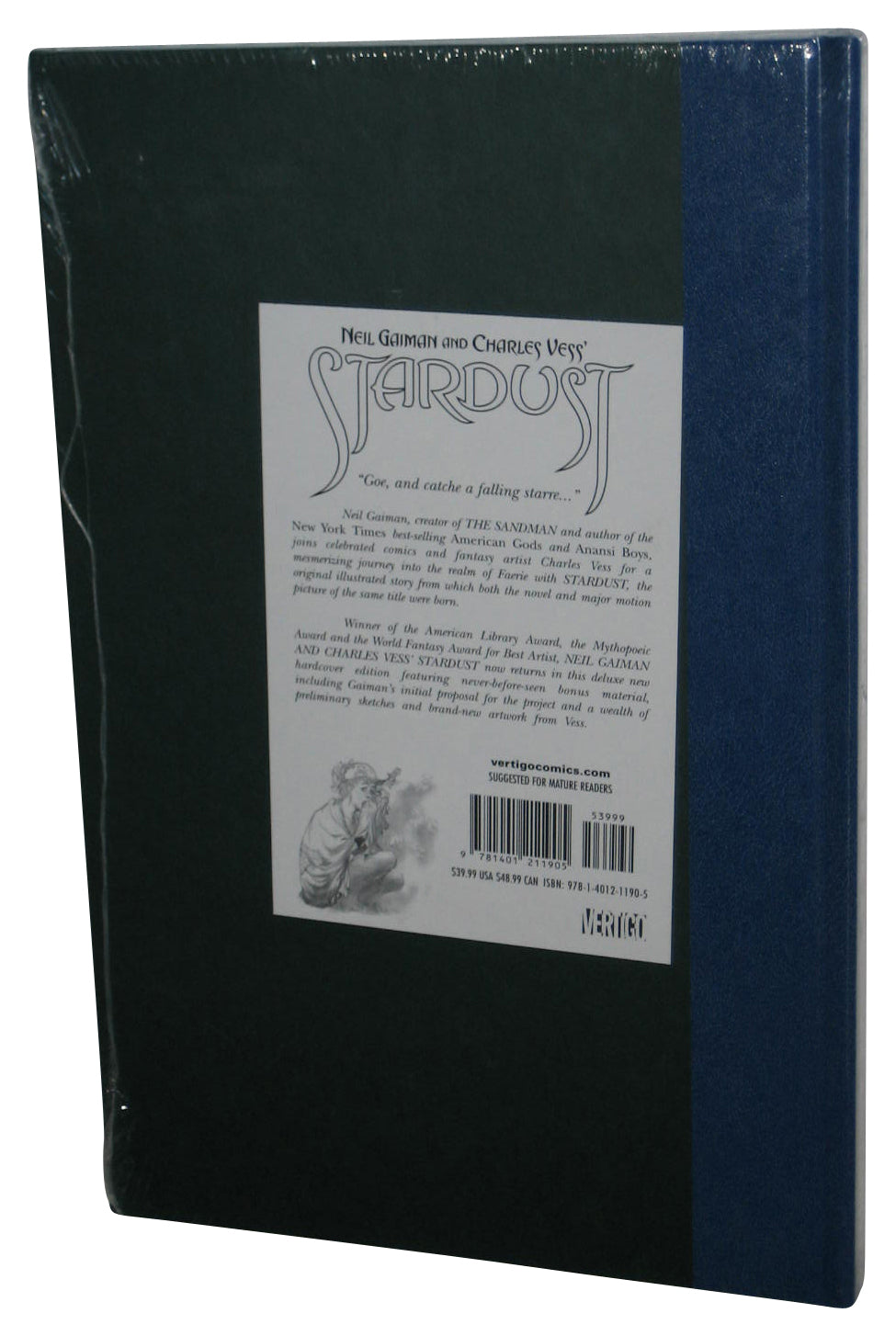 Neil Gaiman & Charles Vess Stardust (2007) Vertigo Hardcover Book - (Being A Romance Within The Realms of Faerie)