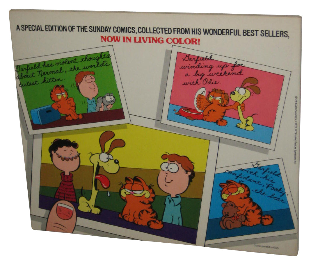 Garfield Treasury (1982) Ballantine Paperback Book