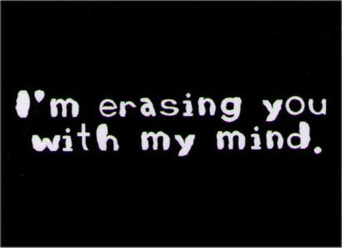 I'm Erasing You With My Mind Magnet DM2212