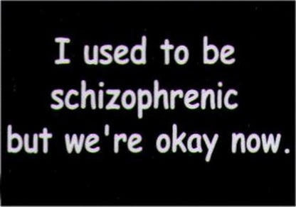 I Used To Be Schizophrenic But We're Okay Now Magnet HM239
