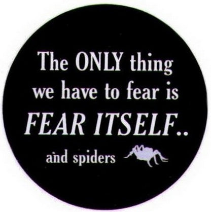Only Thing To Fear Itself Spiders Button SB3969
