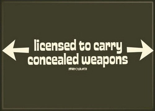 David and Goliath Licensed To Carry Magnet 29800DG