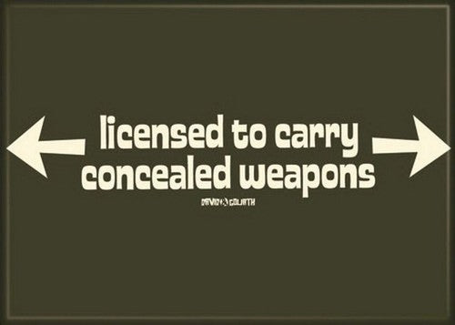David and Goliath Licensed To Carry Magnet 29800DG
