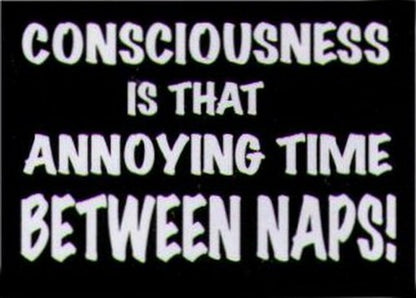 Consciousness Thing Between Naps Magnet HM251