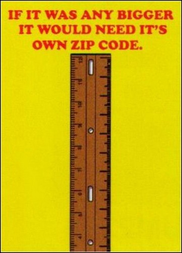 If Any Bigger Need It's Own Zip Code Magnet BM2283