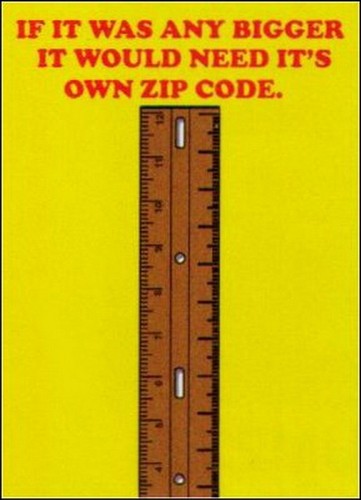 If Any Bigger Need It's Own Zip Code Magnet BM2283