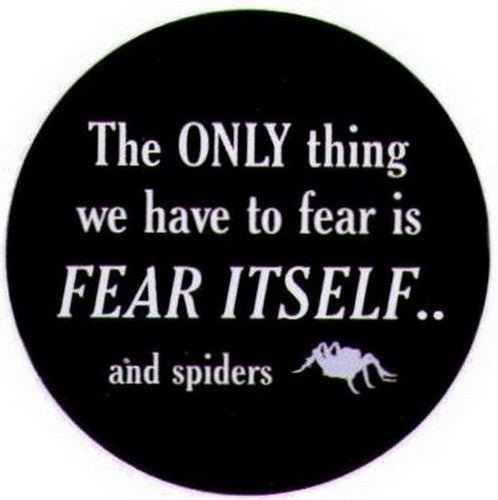 Only Thing To Fear Itself Spiders Button SB3969