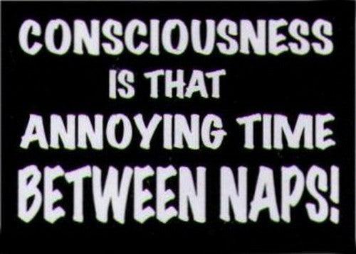 Consciousness Thing Between Naps Magnet HM251