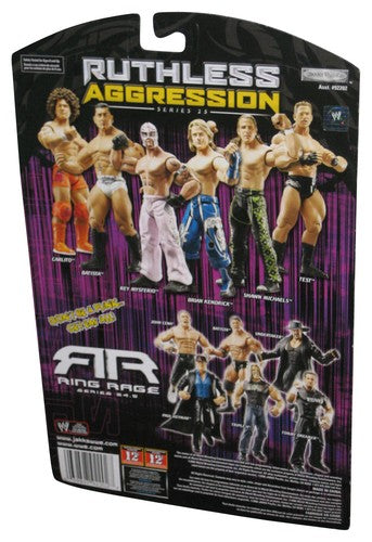 WWE Wrestling Ruthless Aggression (2006) Series 25 Test Action Figure w/ Chase Belt