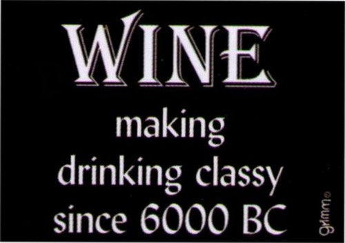 Wine Making Drinking Classy Since 6000BC Magnet GM5003