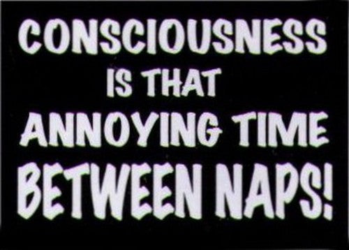 Consciousness Thing Between Naps Magnet HM251