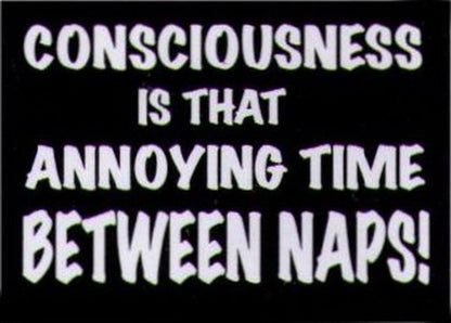Consciousness Thing Between Naps Magnet HM251
