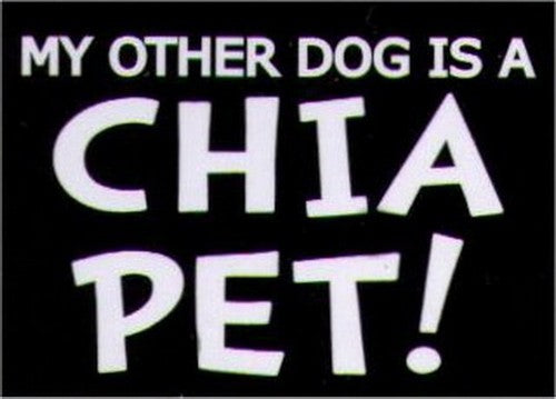 My Other Dog Is A Chia Pet Humor Magnet HM270