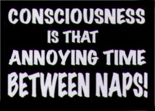 Consciousness Thing Between Naps Magnet HM251