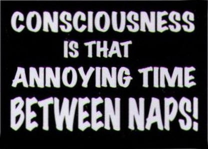 Consciousness Thing Between Naps Magnet HM251