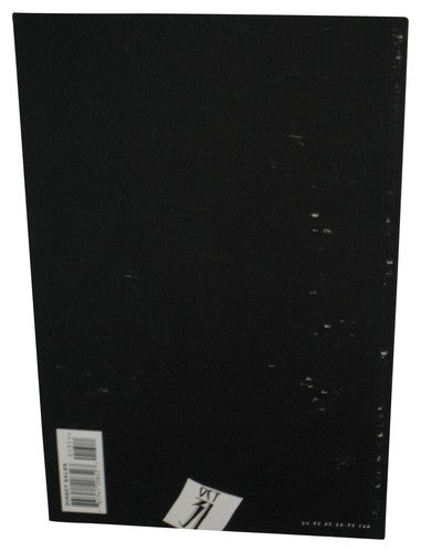 DC Comics Batman The Long Halloween Punishment Vol. 13 (2000) Paperback Book