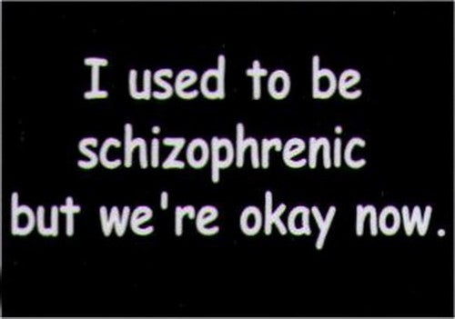 I Used To Be Schizophrenic But We're Okay Now Magnet HM239
