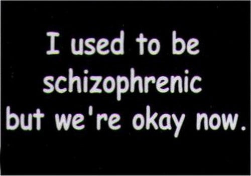 I Used To Be Schizophrenic But We're Okay Now Magnet HM239