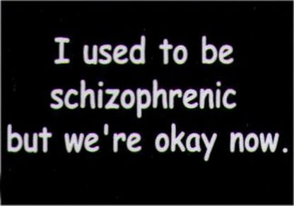 I Used To Be Schizophrenic But We're Okay Now Magnet HM239