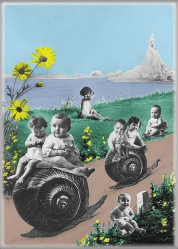 Tesoros Sunflowers Magnet 29331TS