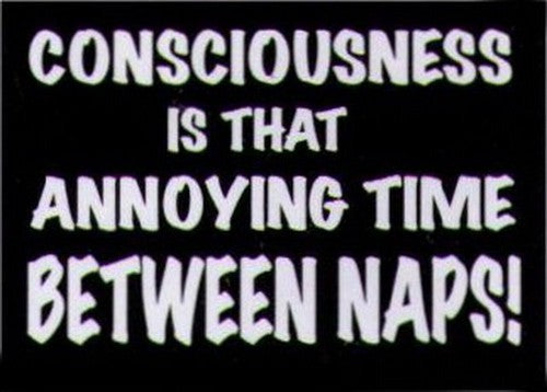 Consciousness Thing Between Naps Magnet HM251