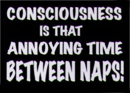 Consciousness Thing Between Naps Magnet HM251