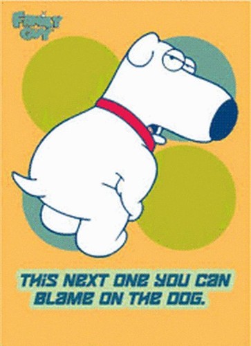 Family Guy Blame Next One Magnet FM1574