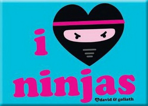 David and Goliath I Heart Ninjas Magnet 29676DG