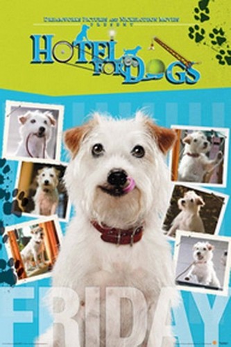Hotel For Dogs Friday Poster 24-727