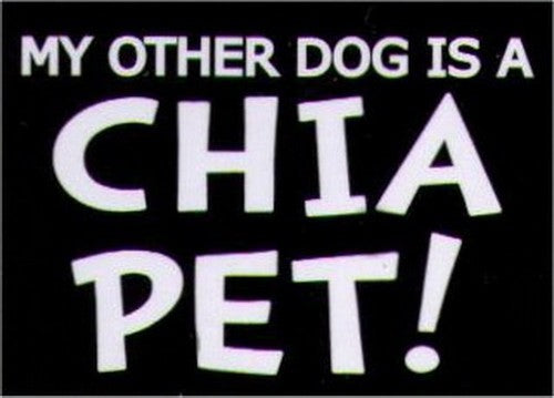 My Other Dog Is A Chia Pet Humor Magnet HM270