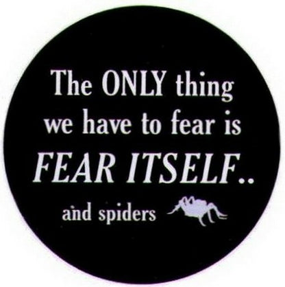Only Thing To Fear Itself Spiders Button SB3969