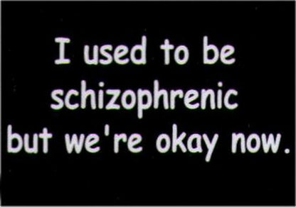 I Used To Be Schizophrenic But We're Okay Now Magnet HM239