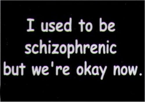I Used To Be Schizophrenic But We're Okay Now Magnet HM239