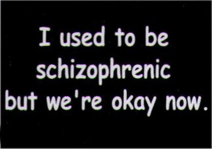 I Used To Be Schizophrenic But We're Okay Now Magnet HM239
