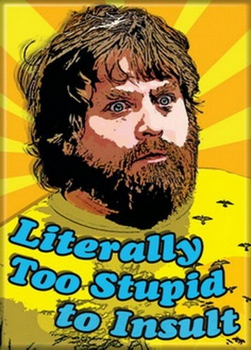 The Hangover Too Stupid To Insult Magnet 29982M