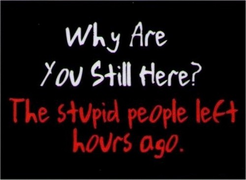 Why Are You Still Here Stupid Left Magnet DM2113