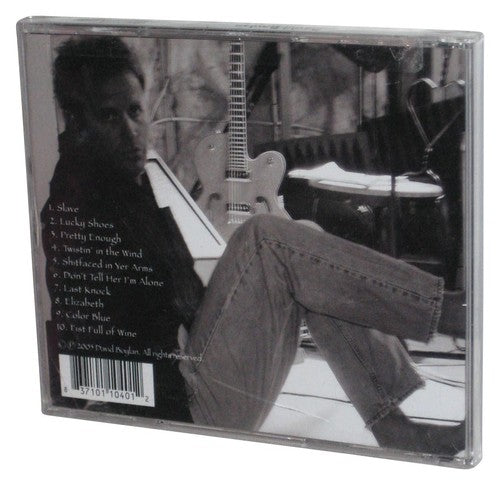 David Boylan Slave (2005) Audio Music CD - (Cracked Jewel Case)