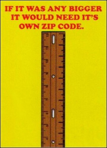 If Any Bigger Need It's Own Zip Code Magnet BM2283