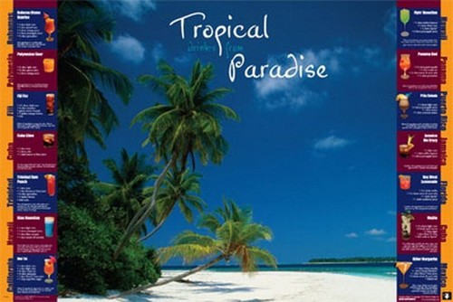 Drinks From Paradise Poster 24652