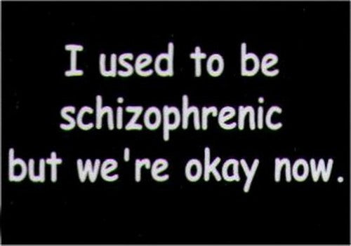 I Used To Be Schizophrenic But We're Okay Now Magnet HM239