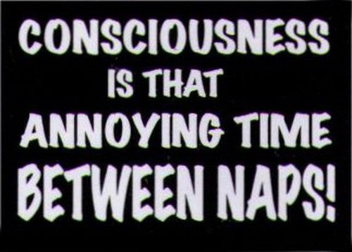 Consciousness Thing Between Naps Magnet HM251