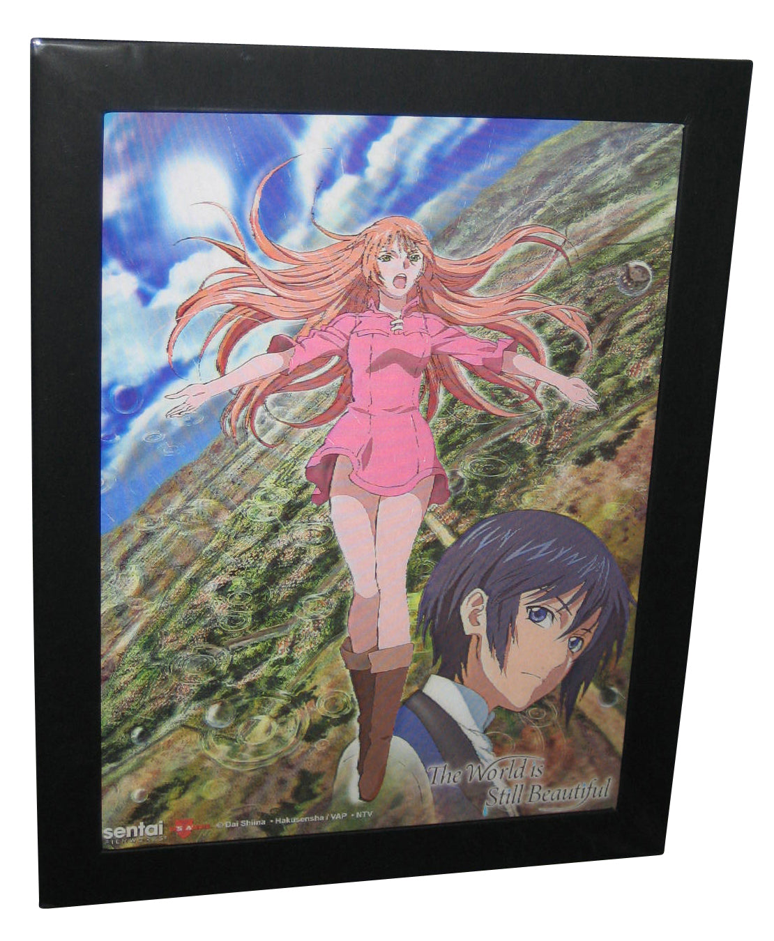 The World is Still Beautiful Anime 3D Lenticular 9 x 12" Framed Wall Art Poster