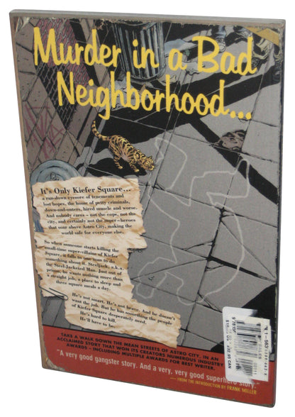 Kurt Busiek's Astro City The Tarnished Angel Homage Comics Paperback Book