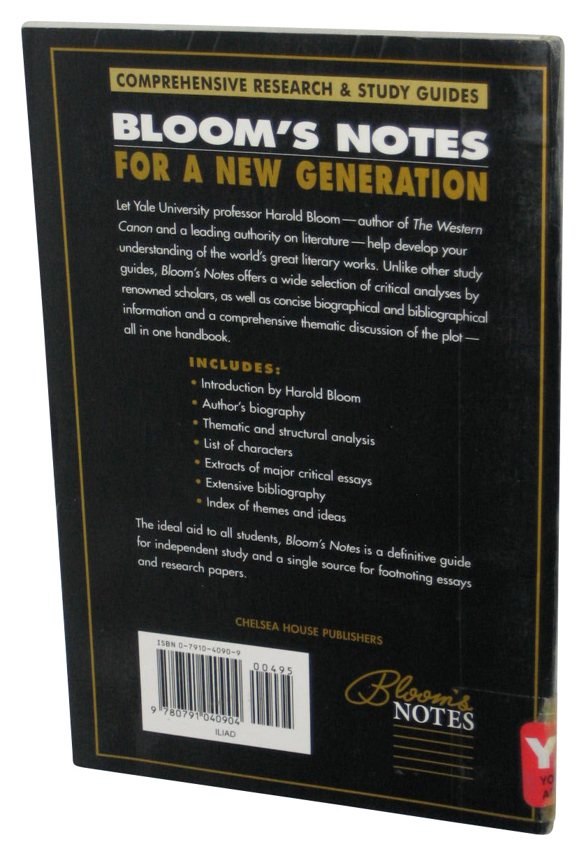 Homer's Iliad Translated From the Original Greek Into English Hexameters (2017) Paperback Book