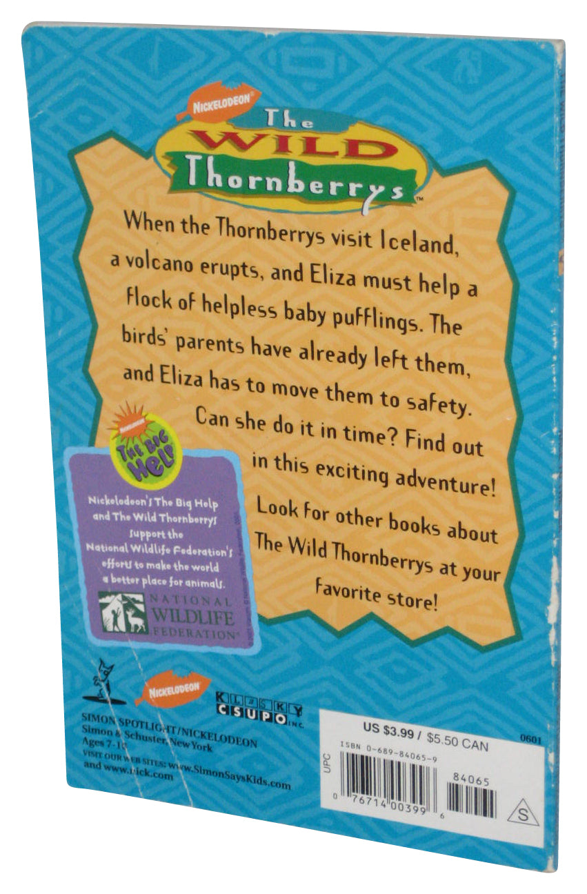 Nickelodeon Race To The Sea Wild Thornberrys (2001) Chapter Paperback Book