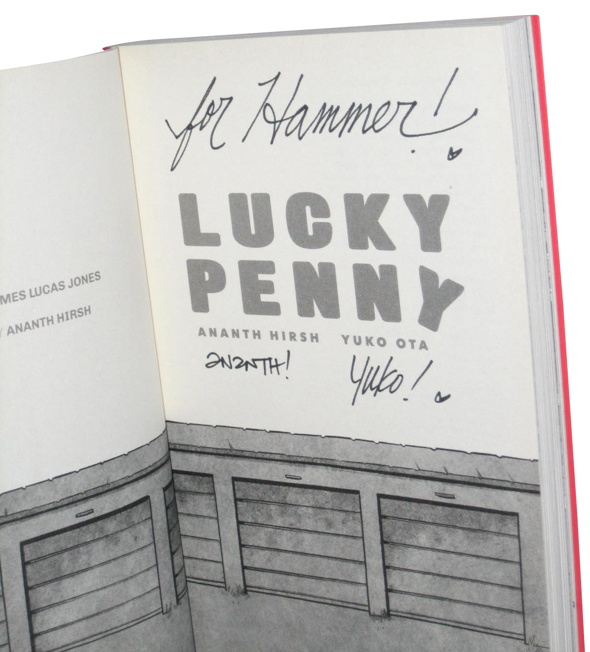 Lucky Penny (2016) Paperback Book - (Ananth Hirsh / Yuko Ota)