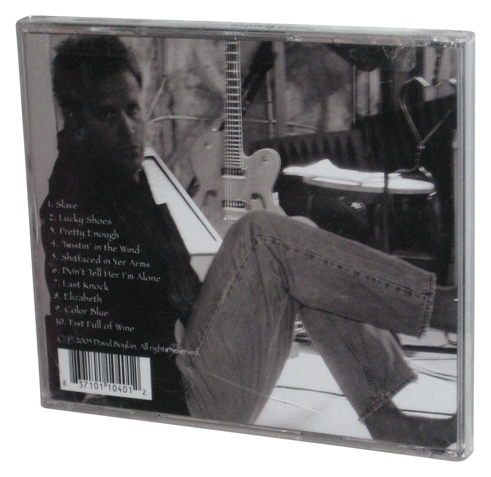 David Boylan Slave (2005) Audio Music CD - (Cracked Jewel Case)